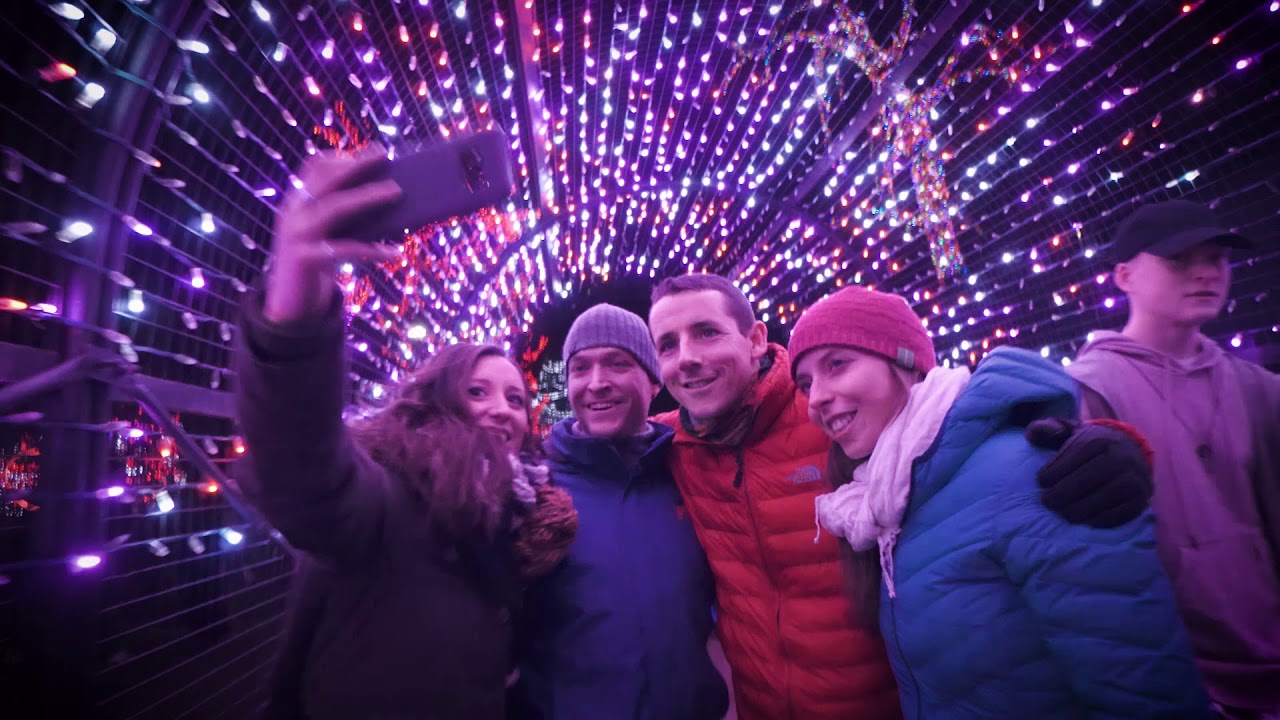 ZOOLIGHTS 2017- 20 years of glow