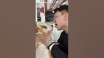 Thumbnail of 看着我的眼睛说 张远他凭什么这么简单就能赢了我#看着我的眼睛说 #张远 #姚晓棠 #无声卡清唱 #柯基