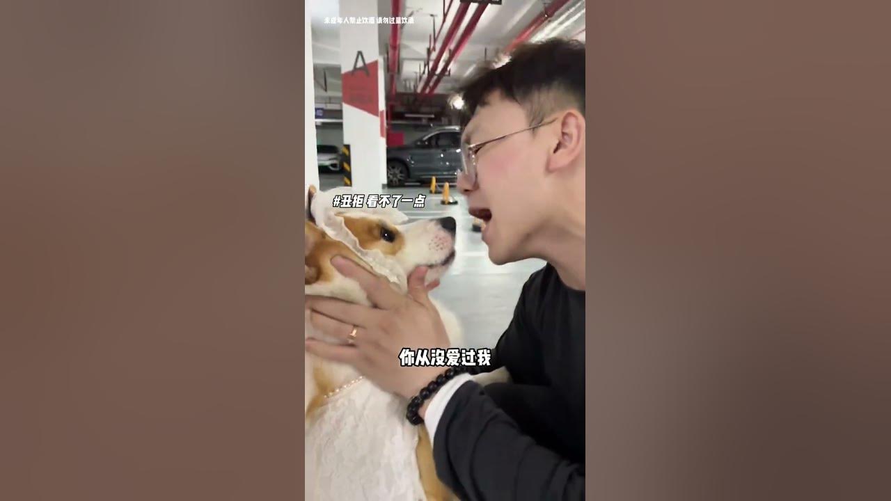 看着我的眼睛说 张远他凭什么这么简单就能赢了我#看着我的眼睛说 #张远 #姚晓棠 #无声卡清唱 #柯基 看着我的眼睛说 张远他凭什么这么简单就能赢了我#看着我的眼睛说 #张远 #姚晓棠 #无声卡清唱 #柯基