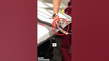 Vet Removes Beach Towel Swallowed by Pet Python