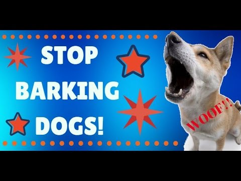 Video: Come fermare un cucciolo dal piagnucolare