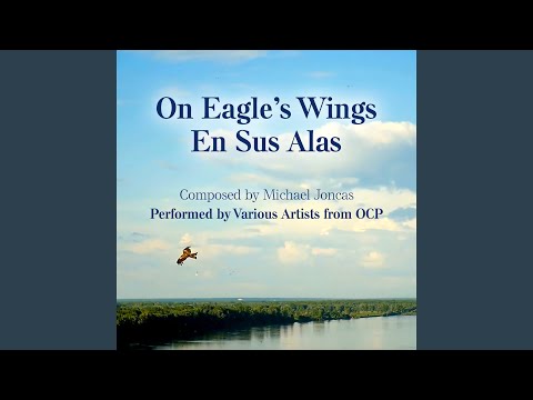 On Eagle S Wings En Sus Alas