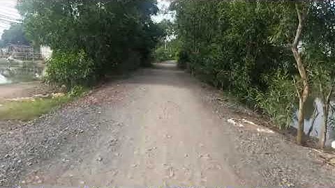 🔴 (đất đã bán) bán đất lúa xã Phước tuy cần đước long an.