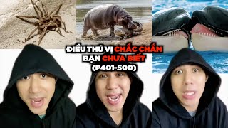 TẤT CẢ Những Điều Thú Vị Có Thể Bạn Chưa Biết (Phần 401-500)