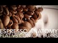 Espresso anatomy  flat vs conical burrs