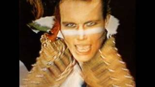 adam and the ants - dog eat dog chords