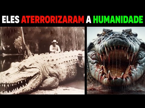 CROCODILO GIGANTE: 14 Maiores Crocodilos do Mundo