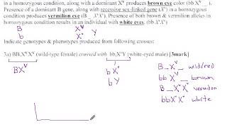 67 - Dihybrid Sex-Linked - Drosophila Eye Colors (p49)