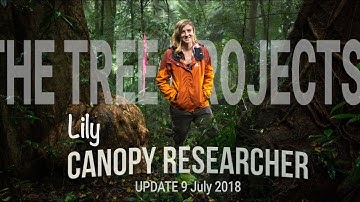 CANOPY RESEARCHER LILY 🌲🔝🐜👩‍🎓
