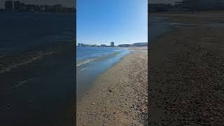 Live - 20.01.2022 Sunetul Valurilor La Marea Neagra