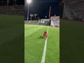 Finn The Bat Dog makes incredible frisbee catch!