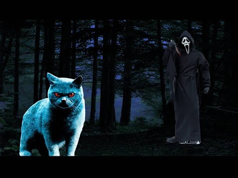 10 Πράγματα που