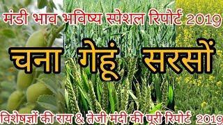 सरसों - चना & गेहूं का मंडी भाव भविष्य 2019 | Mandi Bhav Today Report 2019