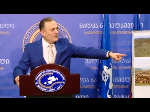 ნათელაშვილი ბერა ივანიშვილის მიერ ამაზონის ტყის გადასარჩენად მილიონი დოლარის გადარიცხვას ეხმაურება