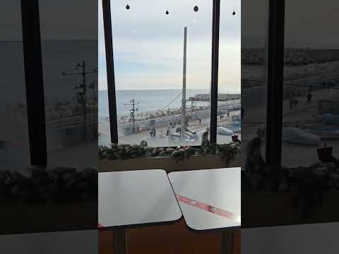 청사포카페 두쫀쿠 찾아 가본 바다당