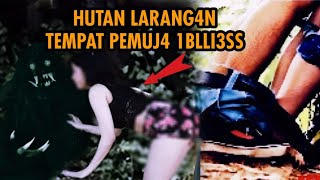 HEBOH .HUTAN INI PENUH DENGAN SANDIWARA CRITA.BANYAK GADIES YANG TERSESAT