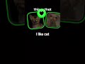 i have many cat likes