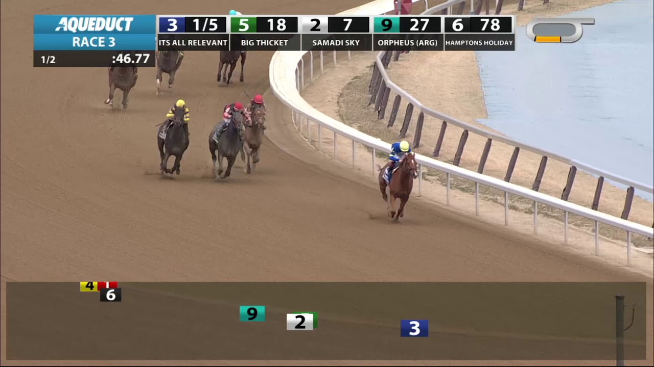 horse racing news Its All Relevant - 2019 - The Dads Caps Stakes