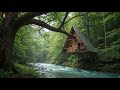 Build an Amazing Shelter Cabin on the Water, Survival Camping, Tree House, Catch and Cook