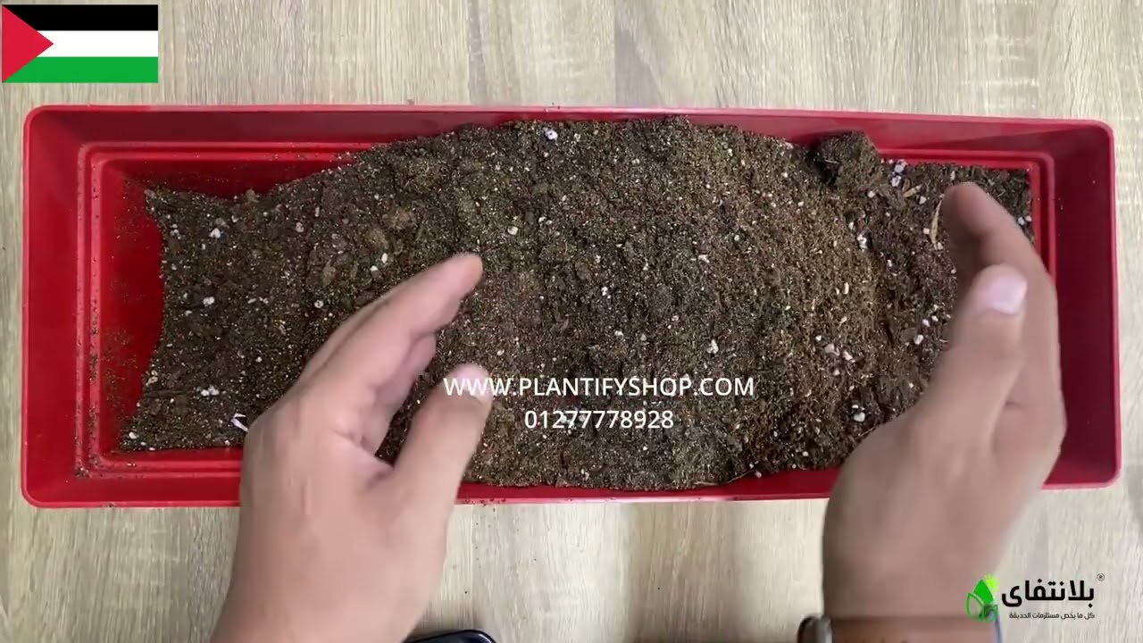 تربية ديدان الريد ويجلرز ايكو بوكس