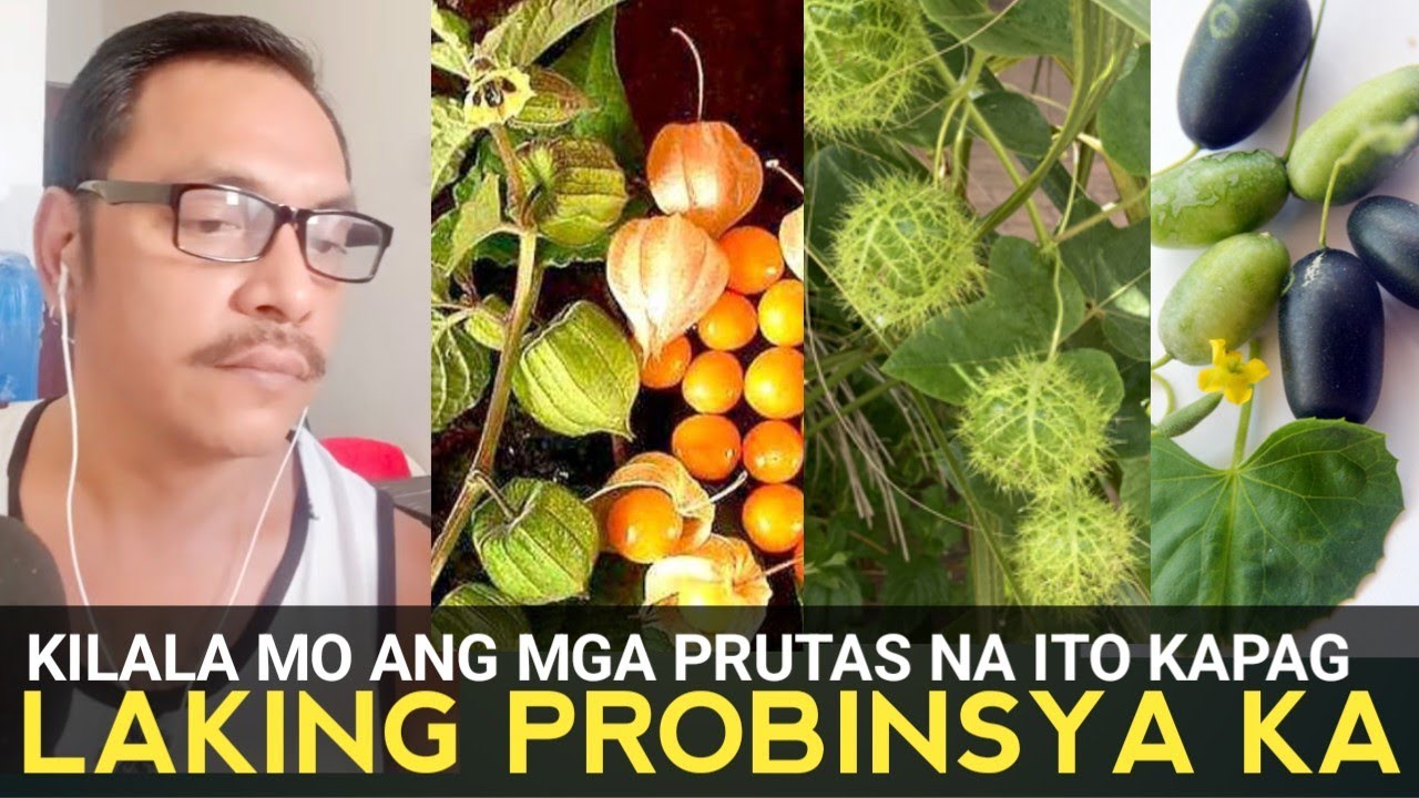 KILALA MO ANG PRUTAS NA ITO KUNG LAKING PROBINSYA KA