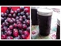 How to make Plum Jam ~ Easy & Yummy!