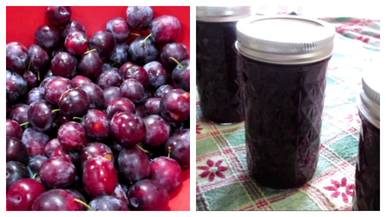 Delicious homemade billet from forest berries: hawthorn jam, recipe and useful recommendations Delicious homemade billet from forest berries: hawthorn jam, recipe and useful recommendations