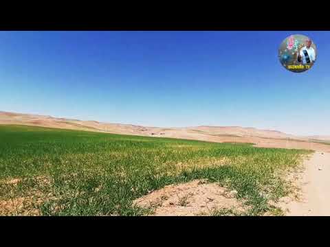جديد الأغنية الأمازيغية أزعما بومية / سعيد مغضيش / موحى أمزيان / فاطمة تالكاديت .