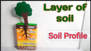 Model of layers of soil/Soil Profile/Model of composition of soil/School Project/Layers of soil