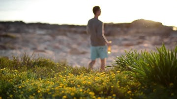 ABI Day Introduction - Felix Lang