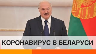 Лукашенко отказывается вводить карантин в Беларуси – почему?