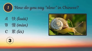 Fun Chinese Quiz for Beginners! Learn Mandarin | 10 Easy Q&A