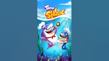 Tiny Shark