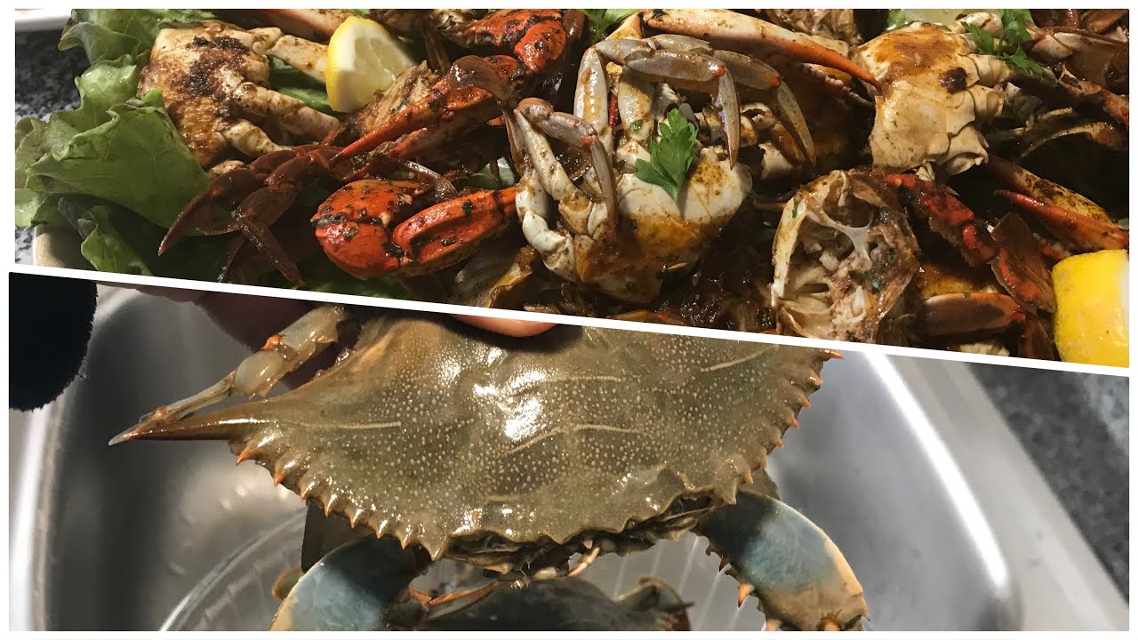 طريقة تنظيف سرطان البحر أو الكراب  ، كيفية طهي سرطان مع وصفة لذييذة جدا