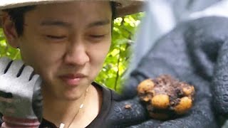 Shin Won-ho and Kangnam’s Instant Tasting () of ‘Civet Poop’ Luwak Coffee @ Law of the Jungle Ep...