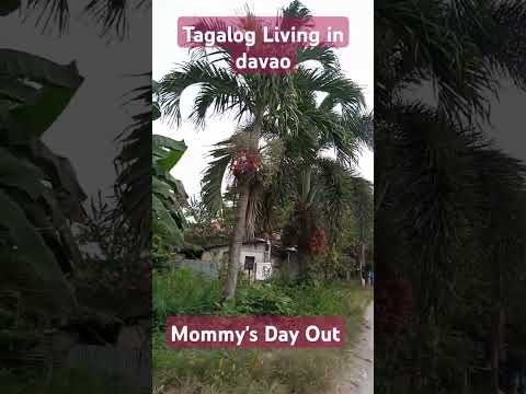 Nakalabas Ang Tagalog Ulit Alam Niyo Na Guys Di Tayo Gala Tagalog Living In Davao