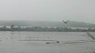 Filming At The Beach Siuslaw North Jetty, Pt 2