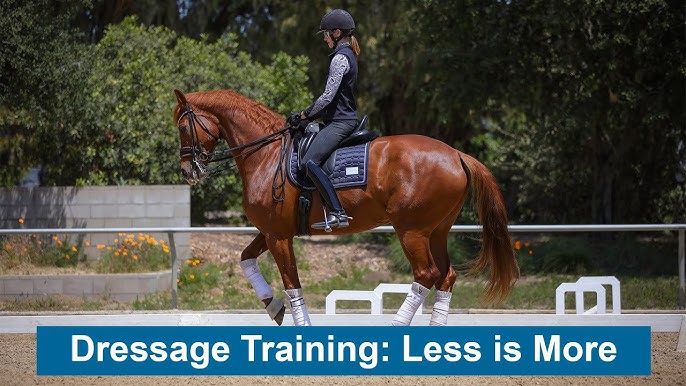 Dressage Training for Women: Mastering Equestrian Elegance