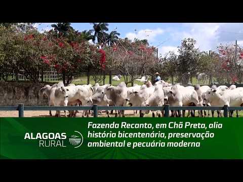 Fazenda Recanto, in Chã Preta, combines bicentennial history, environmental preservation, and mod...
