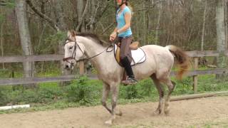 Thisbe flatwork Feb 12, 2017