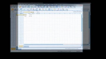 Proportions and chi-square (1)  single proportion binomial test in SPSS and R