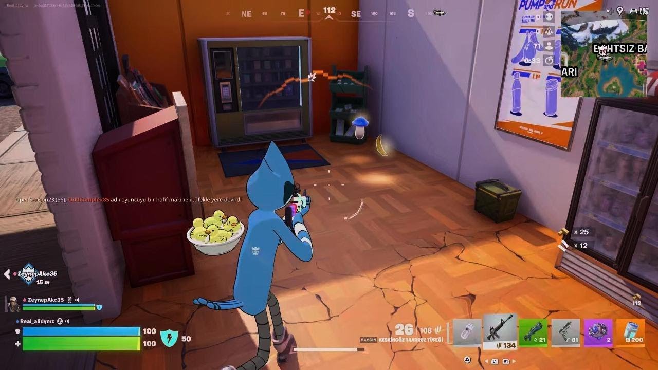 @Zelsyy_945 ile Fortnite