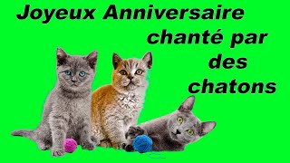 Joyeux Anniversaire Chante Par Des Chats Youtube