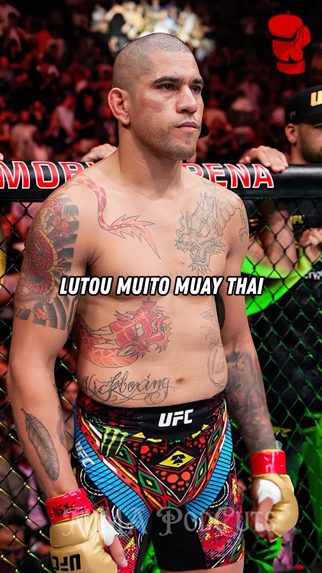 ALEX POATAN ESTÁ EM OUTRO NÍVEL #mma #luta #boxe #ufc #foryou #shortsfeed #brasil