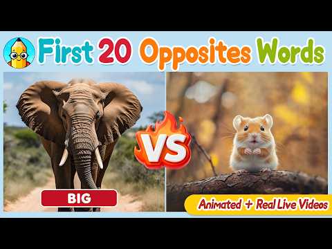 My First 100 Words for Babies 🍎 Learn Opposite Words for Toddlers - Learn To Talk