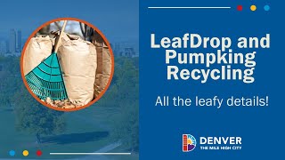 LeafDrop and Pumpkin Recycling