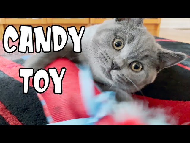 Әдемі ұзын бойлы жалаңаш Көршімен орысша порно секс көру