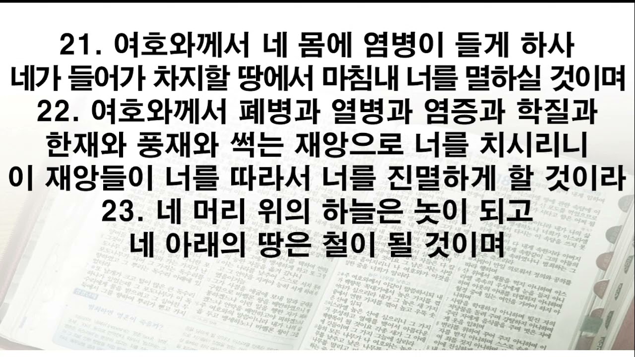 신명기 26장~28장