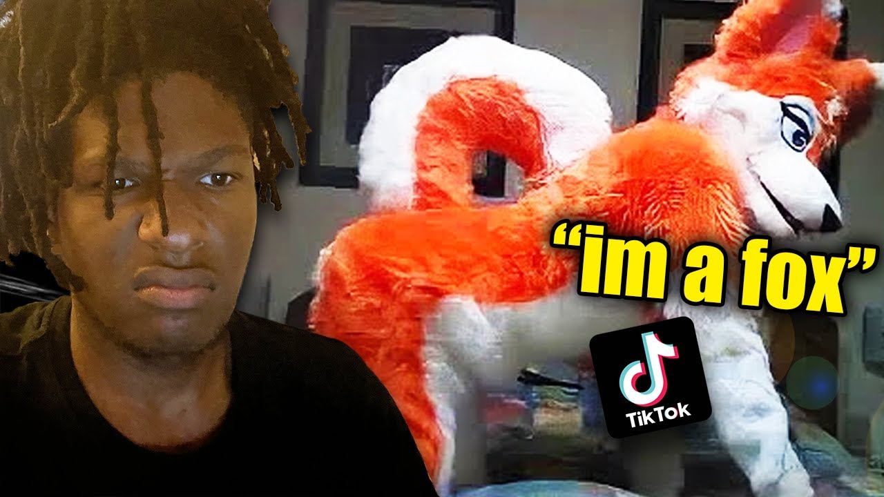 WEIRD FURRY TIKTOKS