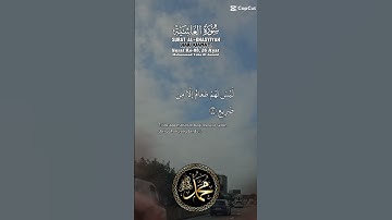 تلاوة للقارئ محمد طه الجنيد ماتيسر من سورة الغاشية